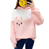 Korean Hoodie Kaninchen